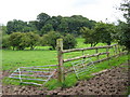 Castle Hill from Rock Lane