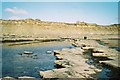 SY9079 : Kimmeridge: ledges in the bay by Chris Downer