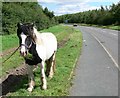 Cliffe Hill Road near Stanton under Bardon