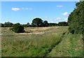 Public Footpath in the Ratby Burroughs