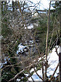 Bridge from Bethel, Melin y Coed.