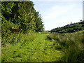 Footpath west of High Pastures Farm