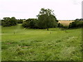 Beverley Westwood Golf Course