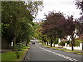 Looking downhill on Pendicle Road