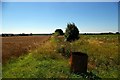 Footpath to Barbary Cottage