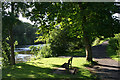 Park bench on the Fisherman