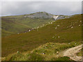 NN9072 : Slopes low on the Faire Clach-ghlais ridge by Nigel Brown