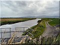 C5423 : Foyle Estuary bird sanctuary by Kay Atherton