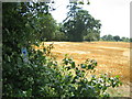 Sweetbrier Farm from Greensand Ridge Walk footpath