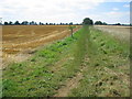 Greensand Ridge Walk footpath