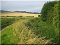 Grand Union Canal (Wendover Arm) in Bucklandwharf