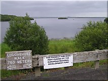 H1355 : Lough Erne at Drumcrow by Kenneth  Allen