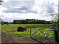 Cheshire Coppice