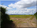 Farm land near Tern Farm