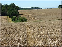 SU2431 : Farmland, Winterslow by Andrew Smith