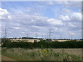 Pylons, Pylons, Pylons, Pylons, Ragwort and Pylons