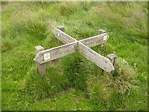 NT9228 : Footpath Junction on St Cuthbert's Way by Phil Catterall
