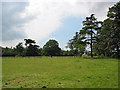 Grazing Land nr Caradoc Farm