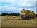 Straw Bales at Redstone