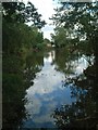 Peterbrook Mill pool