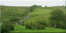 SH7435 : Wall between in-by fields and ffridd above Nant Budr by Eric Jones