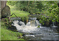 Feeder stream for Leagram brook