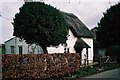 Minchington: Winterborne Cottage