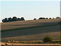 After the harvest, south of Easton Royal