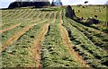 Make Silage when the Sun Shines