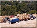 Harvesting at Silkstone Common