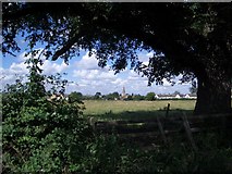 SP9159 : View from Dychurch Lane, Bozeat by Nigel Stickells