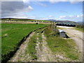 Dodgson Allotment