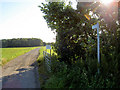 End of the road for vehicles to Gate Farm.