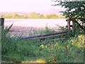 Horse jump near Down Barn