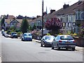 Radnor Road, Salisbury