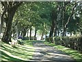 Driveway to Lochturffin House