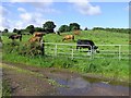 Mormeal Townland