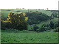 The Mouse Valley from Mousebank Road