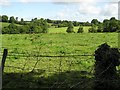 Moymucklemurry Townland