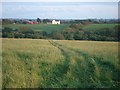 View across the valley of Camrose Brook