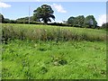 Turnaface Townland