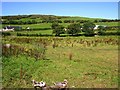 Clagan Townland