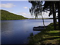 Tunstall Reservoir