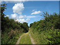 Track with public Right Of Way leading to Cae Crin