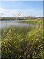 Kilbirnie Loch