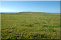 The grassy meadows of Marwick