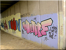 SE4203 : Graffiti under parkway bridge over river Dearne. by Steve  Fareham