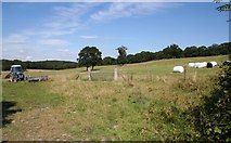 SO7450 : Hay Fields near Coneygore Coppice by Bob Embleton