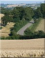 Farmland and Lane