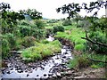 Linburn Beck